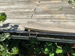 General Appearance with Paint