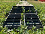 Chassis with Ramps