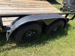 General Appearance with Paint