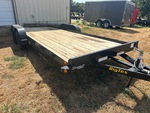 General Appearance with Paint