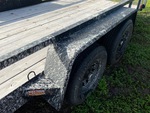 General Appearance with Pintura