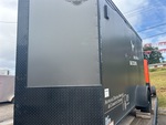 General Appearance with Paint