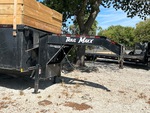 General Appearance with Paint