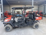 General Appearance with Paint