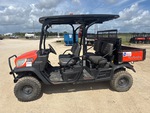 General Appearance with Paint