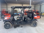 General Appearance with Paint