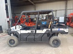 General Appearance with Paint