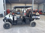 General Appearance with Paint