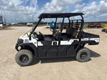 General Appearance with Paint