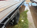General Appearance with Paint