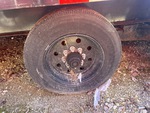 Trailer Chassis with