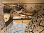 Underbody with Suspension Springs/Hangers