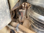 Engine with Exhaust System