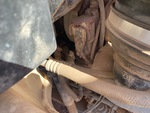 Engine with Exhaust System