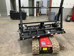 General Appearance with Paint