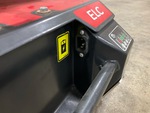 Electric System with Battery Charger
