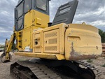 General Appearance with Paint