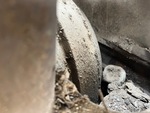 Undercarriage with Left Idler