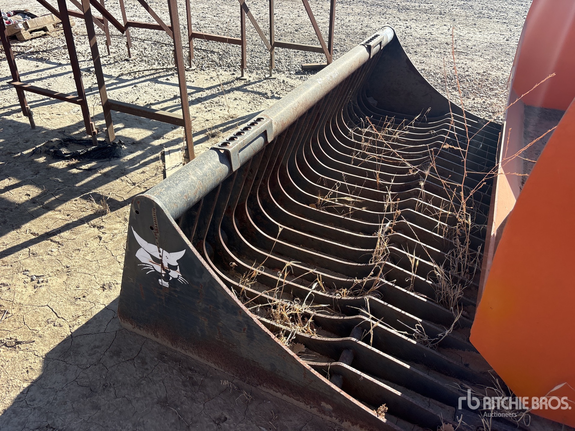 Bobcat 81 in Skeleton