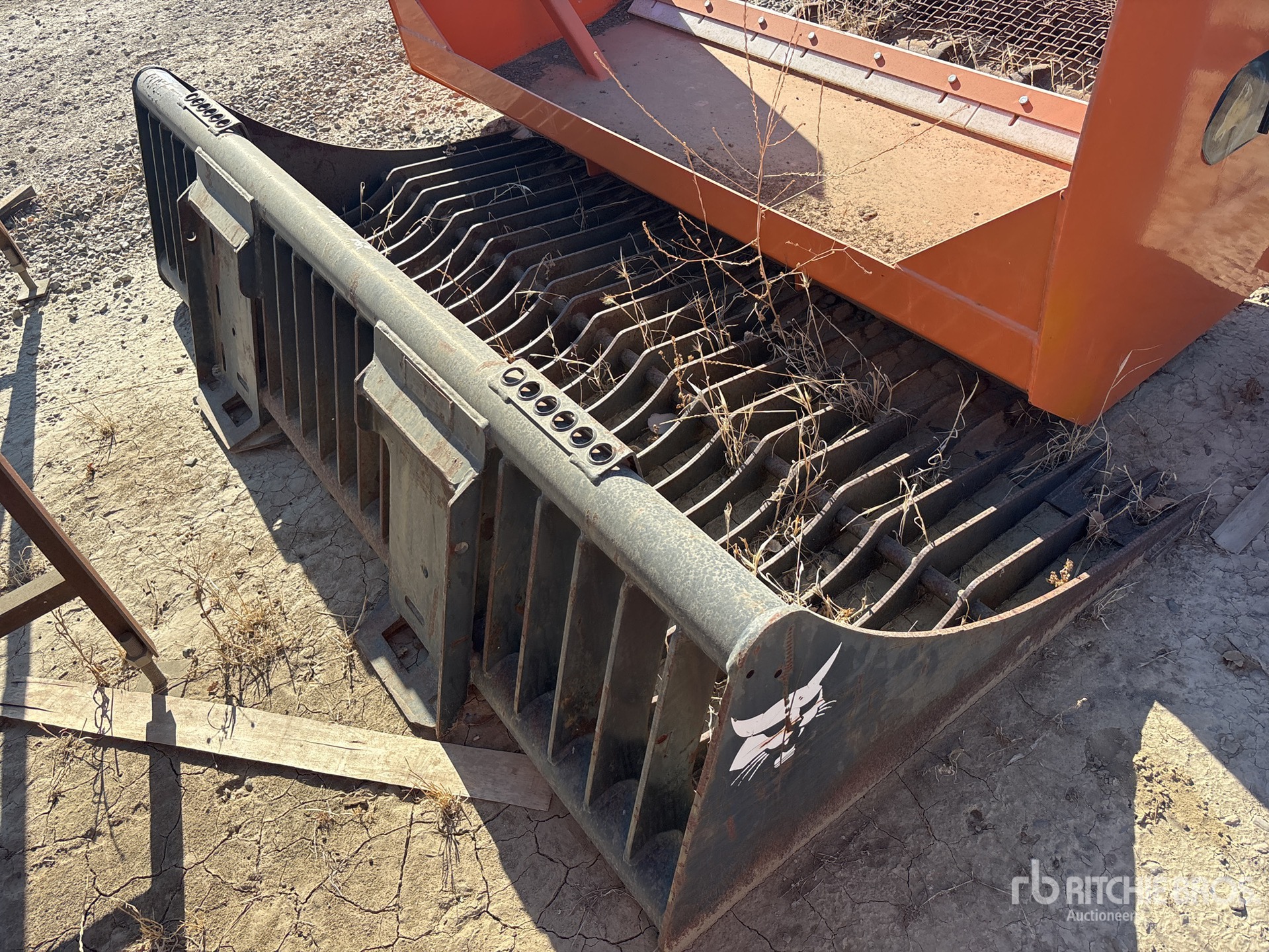Bobcat 81 in Skeleton