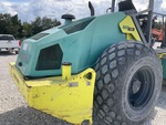 General Appearance with Pintura