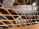 Moteur with Système d'échappement