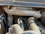 Engine with Exhaust System