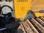 General Appearance with Paint