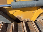 General Appearance with Paint