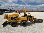 General Appearance with Paint