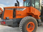 General Appearance with Paint