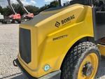 General Appearance with Paint