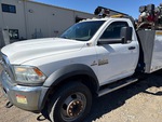 General Appearance with Paint