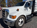 General Appearance with Paint
