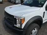 General Appearance with Paint