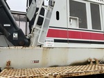 General Appearance with Paint
