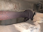 Engine with Exhaust System