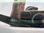 General Appearance with Frame Stamp Serial Number/VIN Photo
