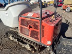 General Appearance with Paint