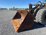 Specialty with Loader Bucket Condition