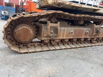General Appearance with Pintura