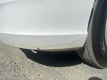 General Appearance with Paint
