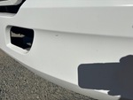 General Appearance with Paint