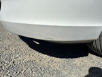 General Appearance with Paint