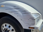 General Appearance with Paint