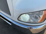 General Appearance with Paint