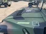 General Appearance with Paint