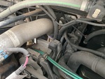 Engine with Exhaust System