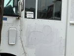 General Appearance with Paint