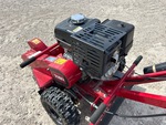 Engine with Exhaust System